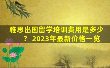 雅思出国留学培训费用是多少？ 2023年最新价格一览